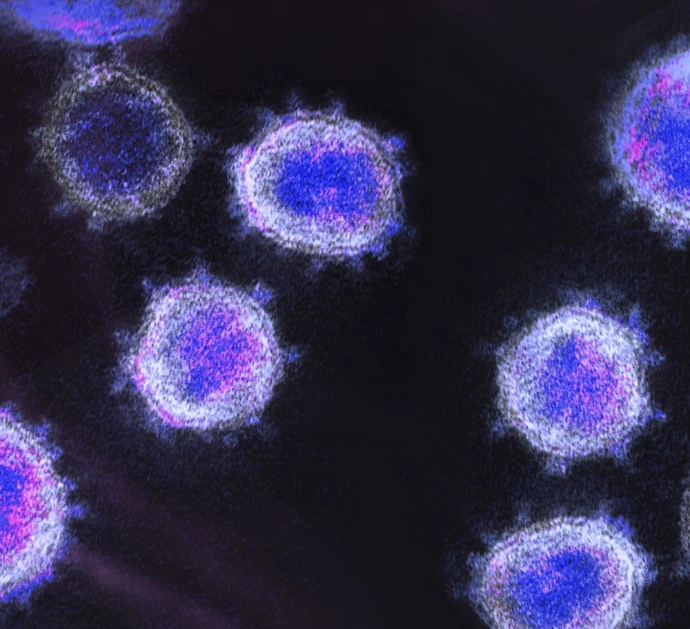 single-cell