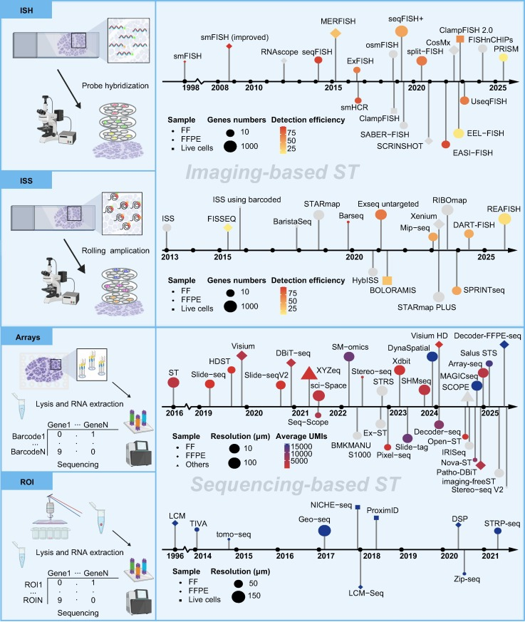 Spatial transcriptomics technologies