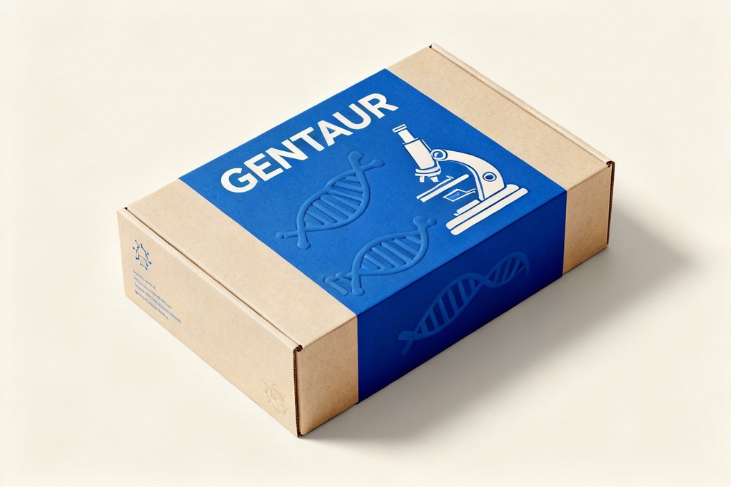 Anti-HLA-G (menschlich) monoklonaler Antikörper [Klon: MEM-G/9], FITC-konjugiert – 0,1 mg